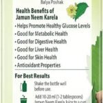 dabur jamun neem karela juice